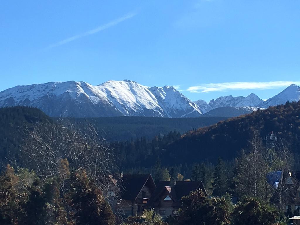 Villa Gronik Zakopane Exterior photo